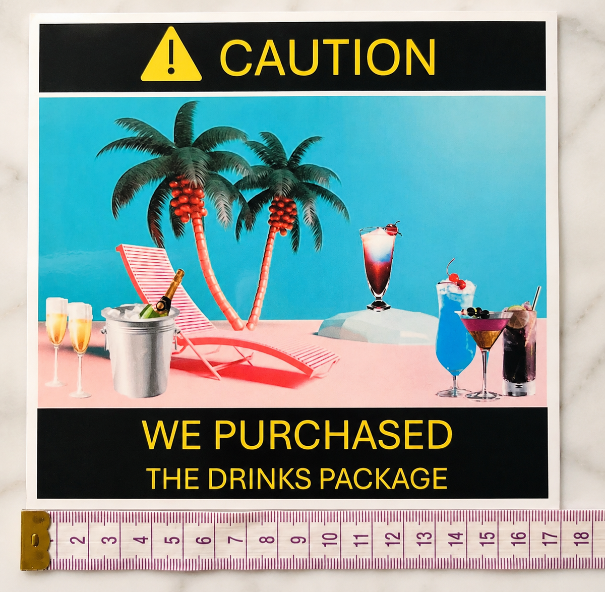 Magnetic Cruise Door Decoration -"We purchased the Drink Package" (Laminated)