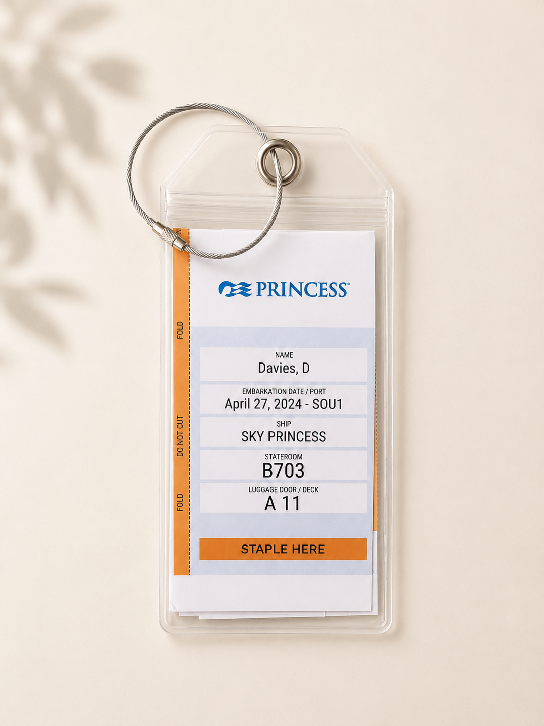Large Cruise Luggage Tag Holder Clear Waterproof Zip Seal - all cruise lines